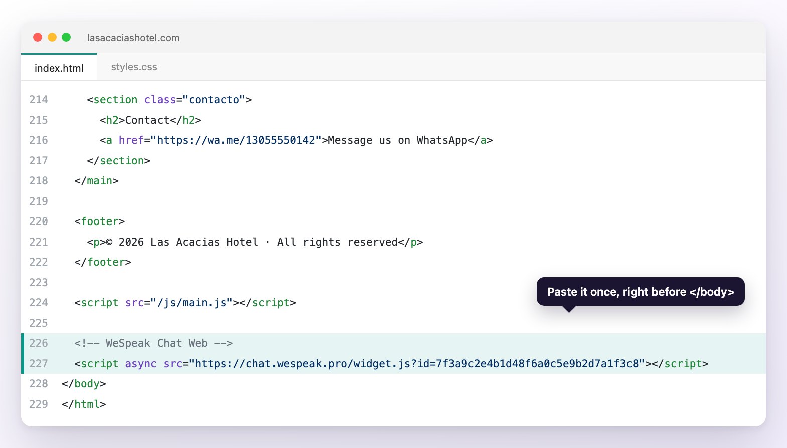 The end of a hotel website's HTML in a code editor, with the Chat Web code highlighted on the line before </body>