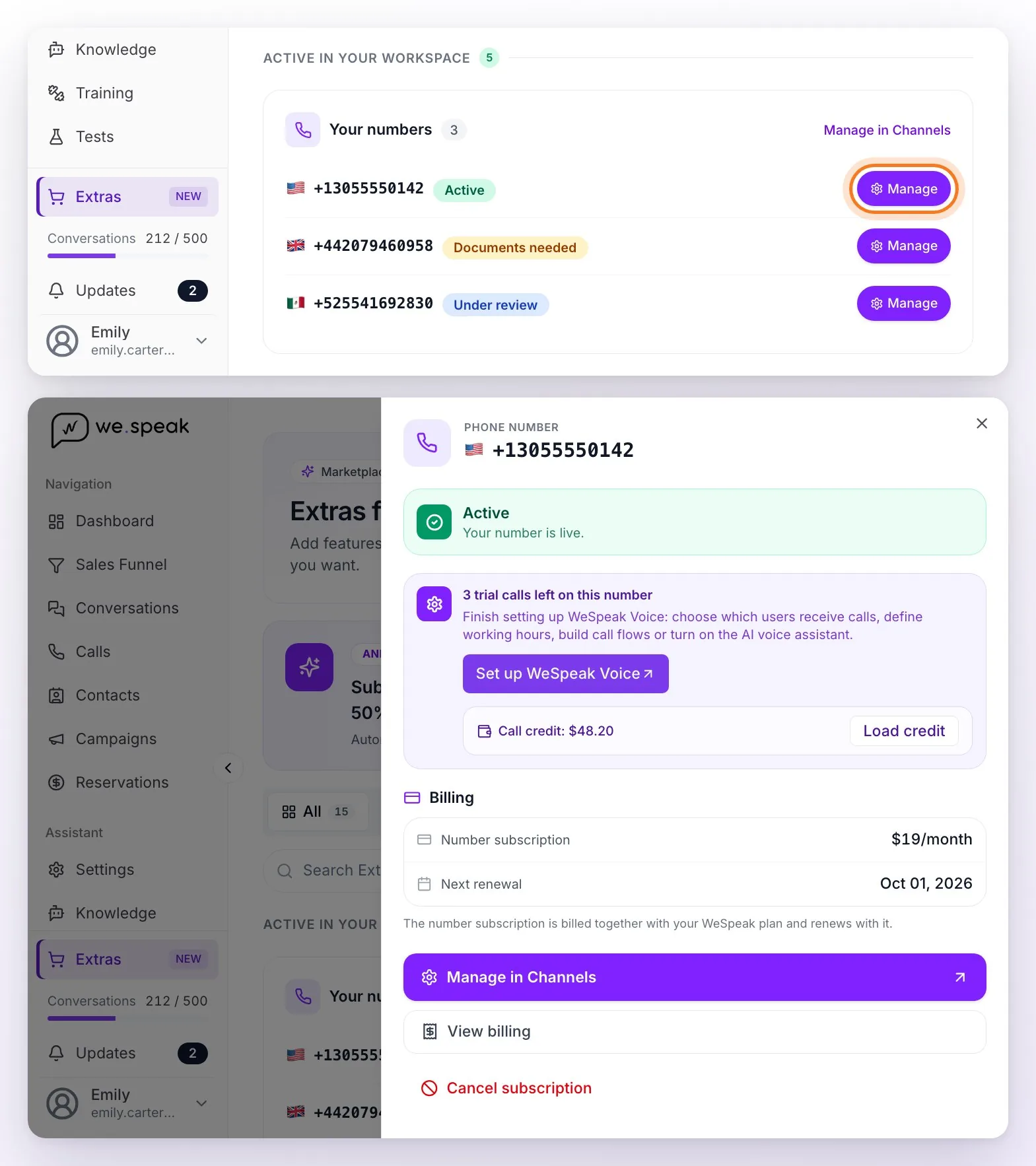 The Your numbers card in Extras with three numbers (Active, Documents needed and Under review) and, below, the Manage panel of the active number: its status, the test calls and credit, the subscription and next renewal, and the Manage in Channels, View billing and Cancel subscription buttons