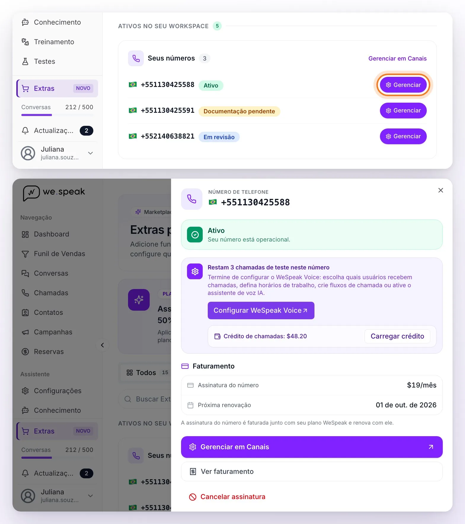O cartão Seus números de Extras com três números (Ativo, Documentação pendente e Em revisão) e, abaixo, o painel Gerenciar do número ativo: o status, as chamadas de teste e o crédito, a assinatura e a próxima renovação, e os botões Gerenciar em Canais, Ver faturamento e Cancelar assinatura
