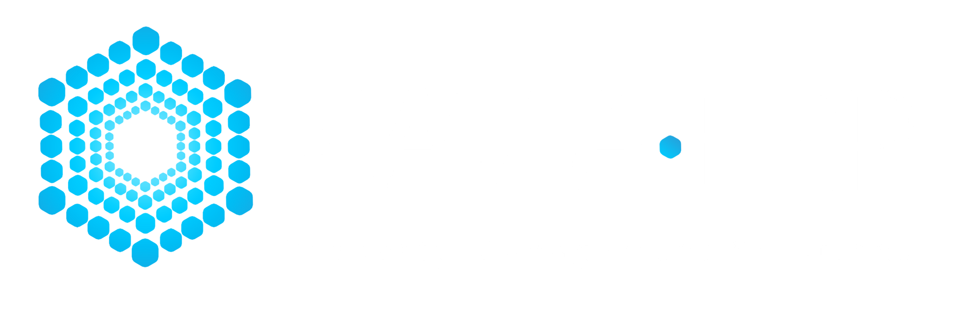 Zavia